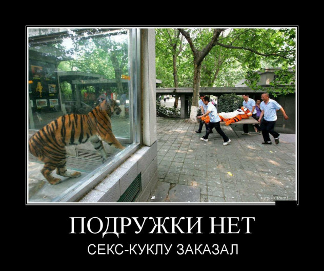 Когда тигру одиноко...